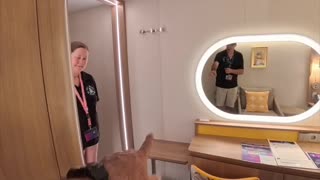 Cruise Comfort Revealed | Star of the Seas Spacious Interior Cabin 14745