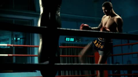 I'm A Fighter