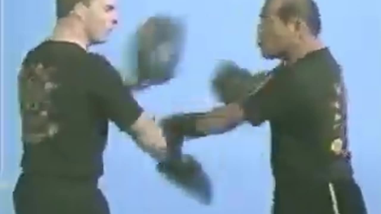 Jeet Kune Do