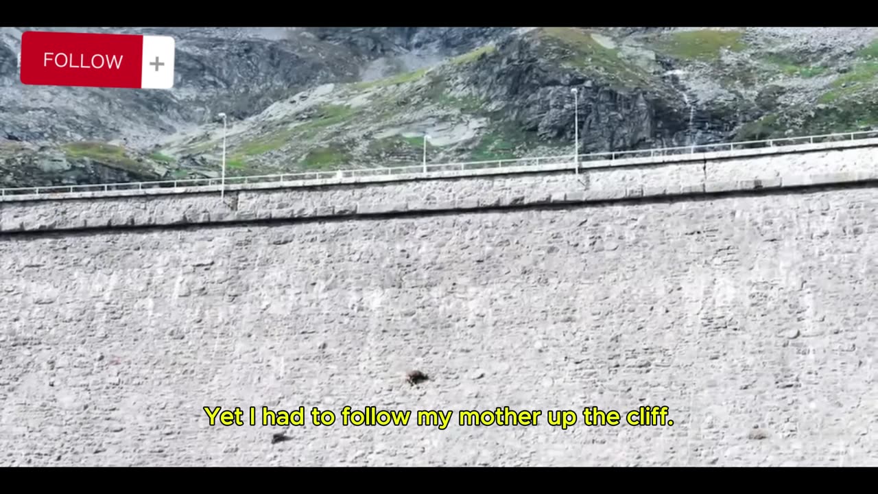 Dancers on the vertical stone wall
