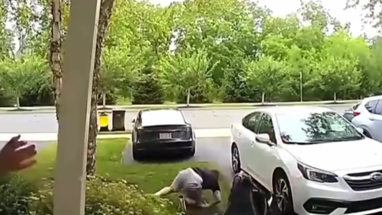 Fun