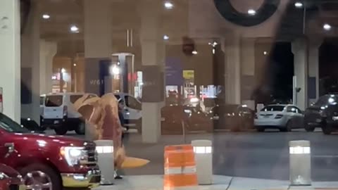 Classic Philly Welcome
