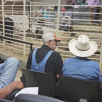 This is how we do it in TEXAS