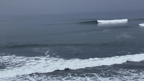 Surfing San Diego at Birdrock and looking South November 14 2025 3:30 PM