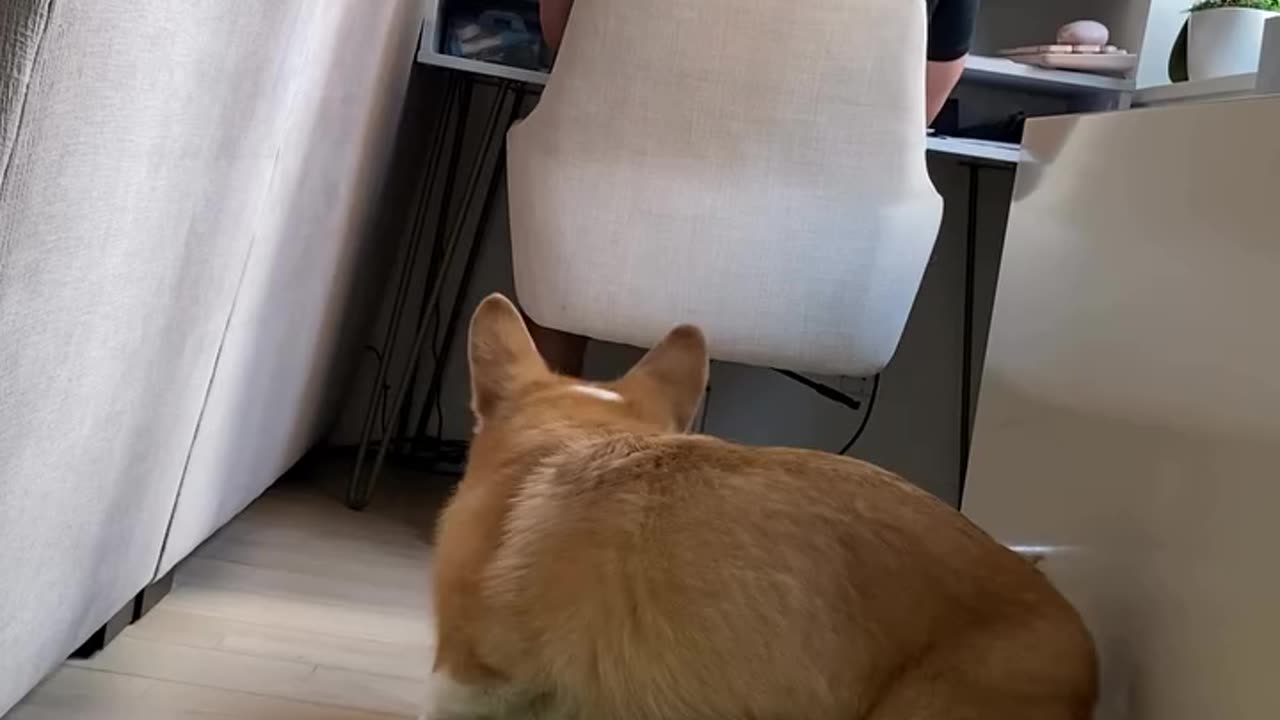 Someone is feeling neglected