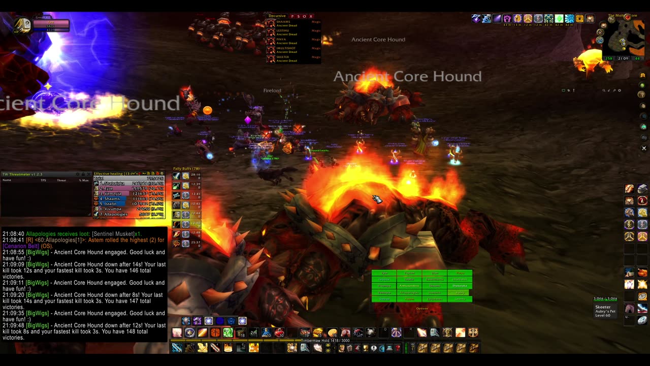 Turtle Wow - PUG MC - 11 April - Paladin POV - no commentary