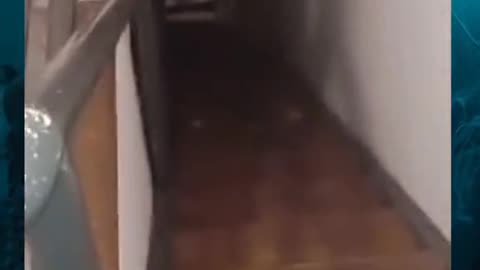 😱👻 Creepy Paranormal Activity You Can't Explain! | TheHauntingHour