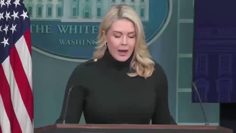 Karoline Leavitt blames 'tragic' shooting on 'hostile' Democrat leaders in Minnesota