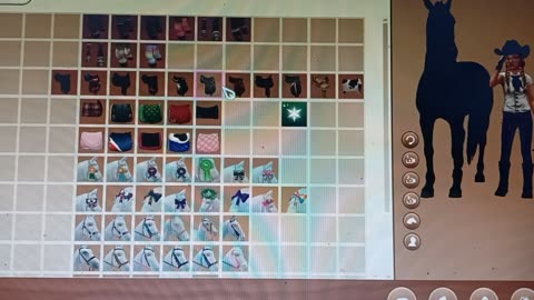 Playing star stable