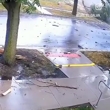 Nature! ⚡️⚡️⚡️