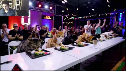Outtake #1,206 Of The Cats Attempt The Vegan Sushi Eating Contest Fake Funny Parody Video