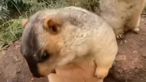 So cute