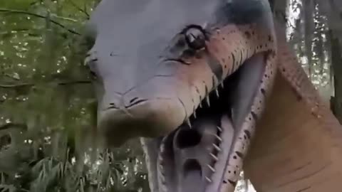 9 Amazing Animals Facts
