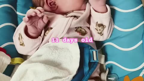 11 Days of Pure Joy: Meet the Sweetest Newborn You’ll Ever See!