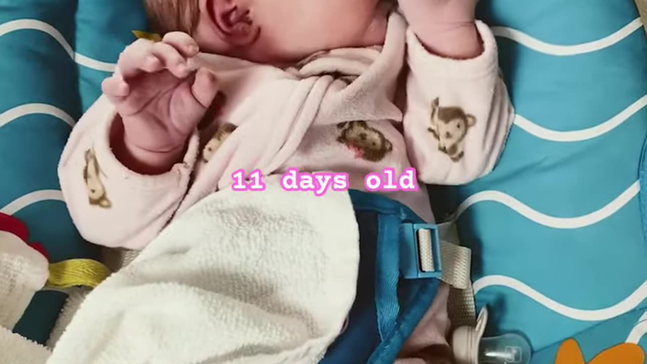 11 Days of Pure Joy: Meet the Sweetest Newborn You’ll Ever See!