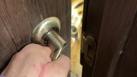 You dare to open?!