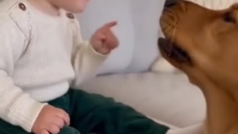 Cute Baby Playing with Animals | Adorable Baby and Pet Moments 2025