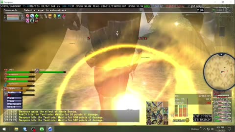 Playing Final Fantasy XI Online