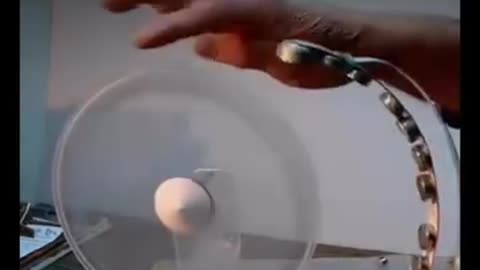 Tesla Killed Over This