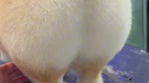 Take a look at this peach-shaped bottom. How about it