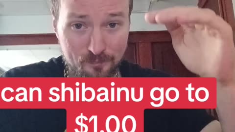 Shiba inu crypto to 100X. could shibainu skyrocket.