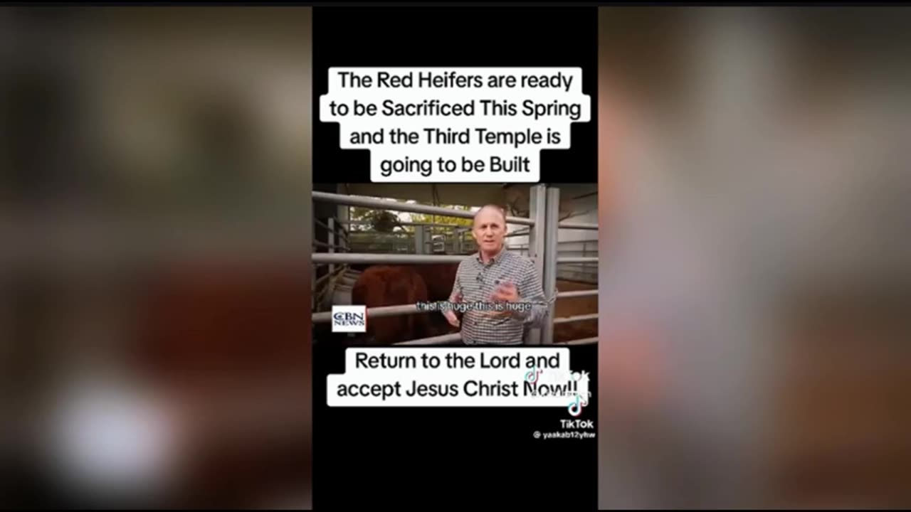 ITSN presents THE RED HEIFERS AND END TIMES PROPHECY 3.30.25