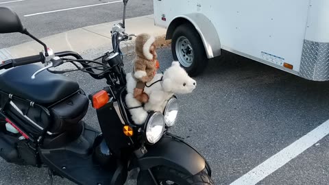 Chilly and Willie ride around Saratoga springs New York