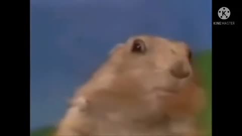 SHOCK funny Meme Clip for Video Editing