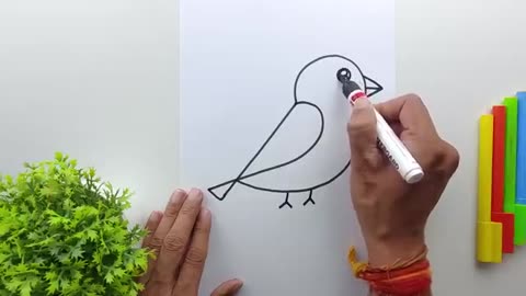 Breaking: How to Draw A Bird Easy