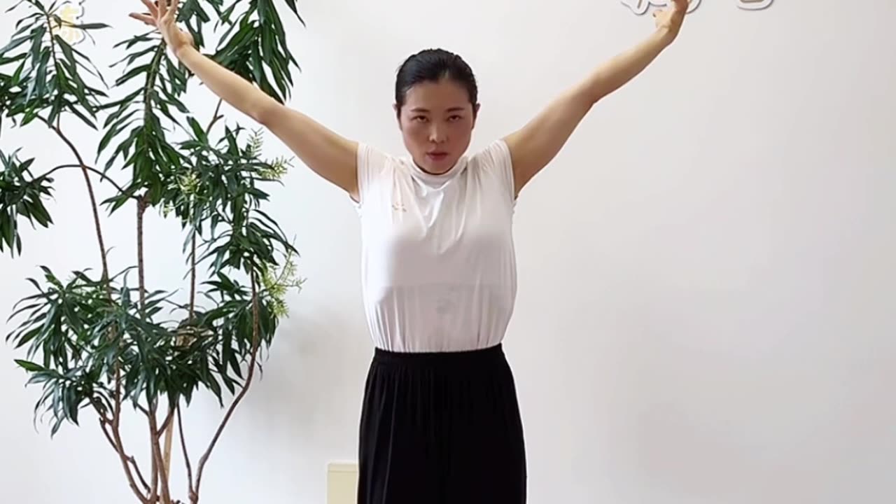 874.全身體動態拉伸