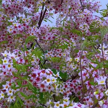 मत डरो मत झुको