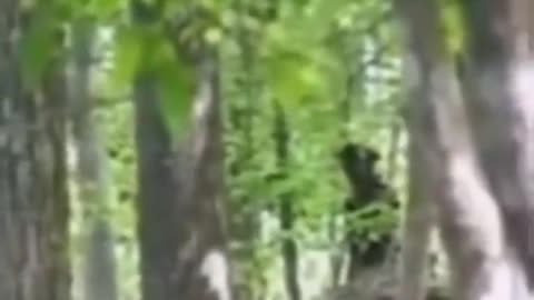 🤔👹 What Is That Creature? Unsettling Paranormal Encounter | TheHauntingHour
