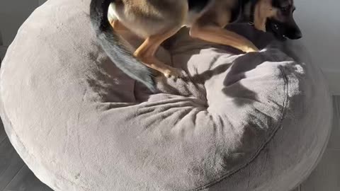 She has a serious problem...