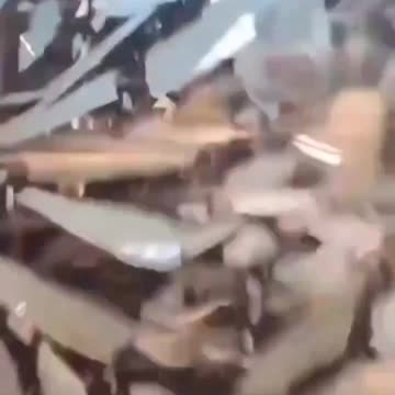 ✡ The bus door was promised to him 3000 years ago