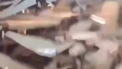 ✡ The bus door was promised to him 3000 years ago