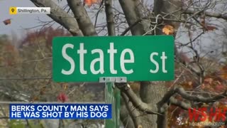 All Bad Dog Accidentally Shoots Owner In The Back After Jumping On Shotgun Left On Bed