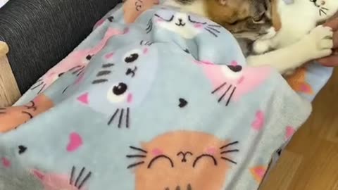Keeping the little one nearby