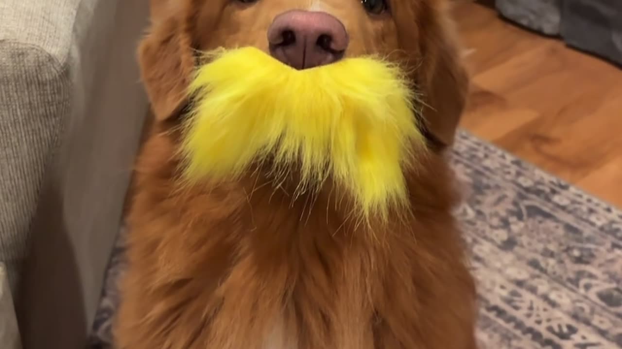 He Speaks for the Trees