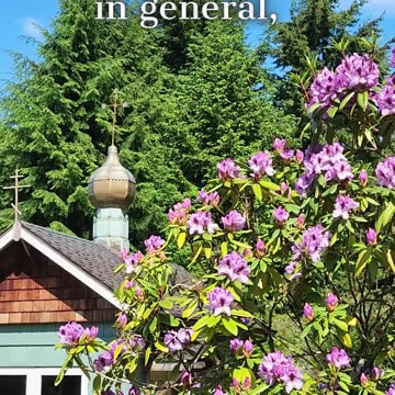 The Best Moments on Earth