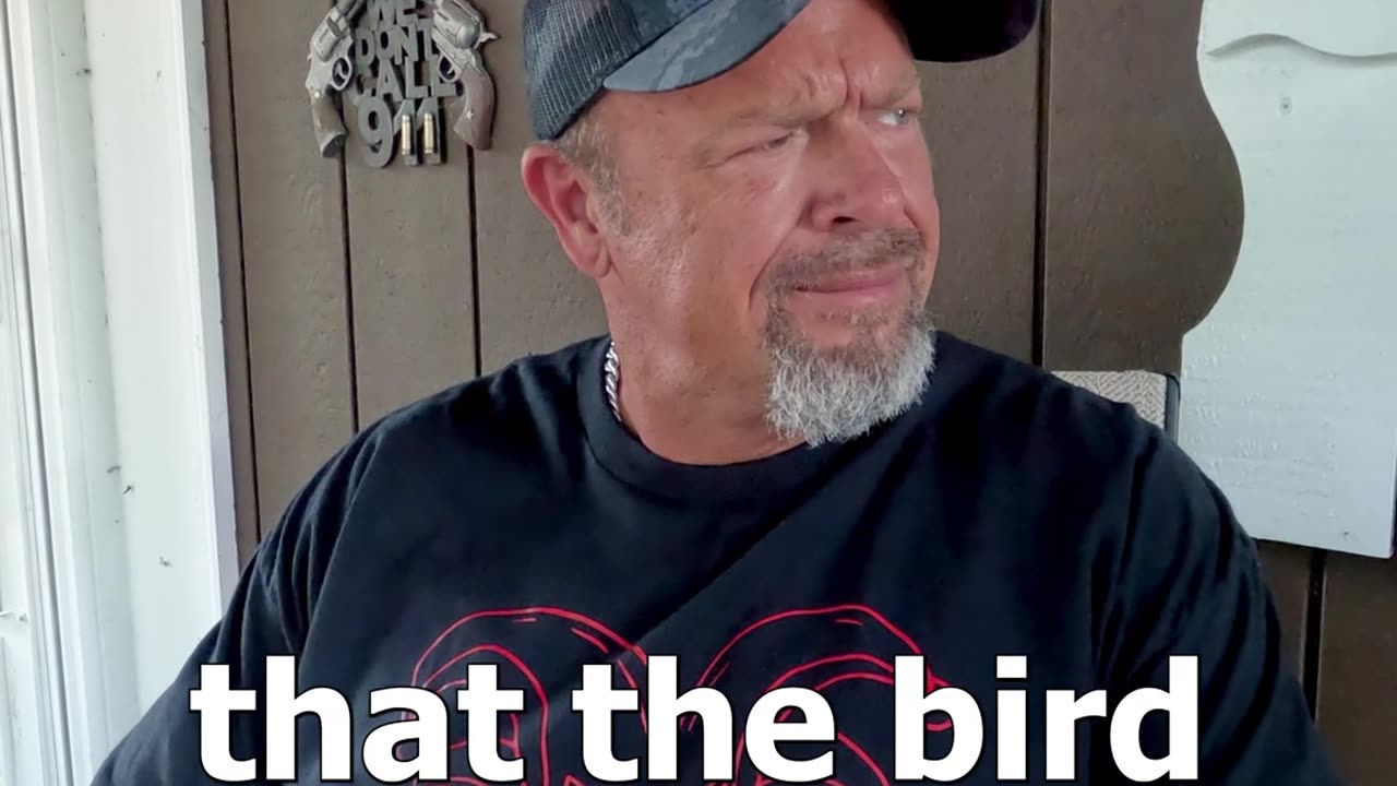 Stork