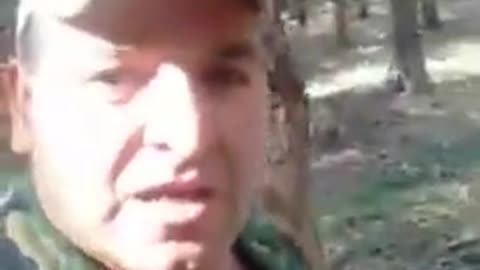 Dogs kill boar by themselves