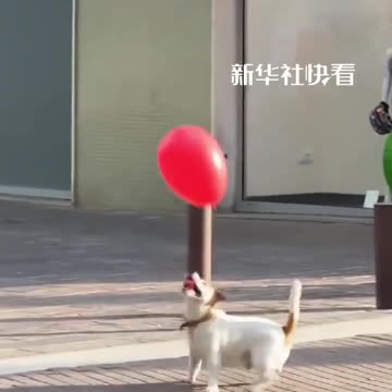 📹 Trending Chinese Viral Videos | Funny, Emotional & Shocking Moments