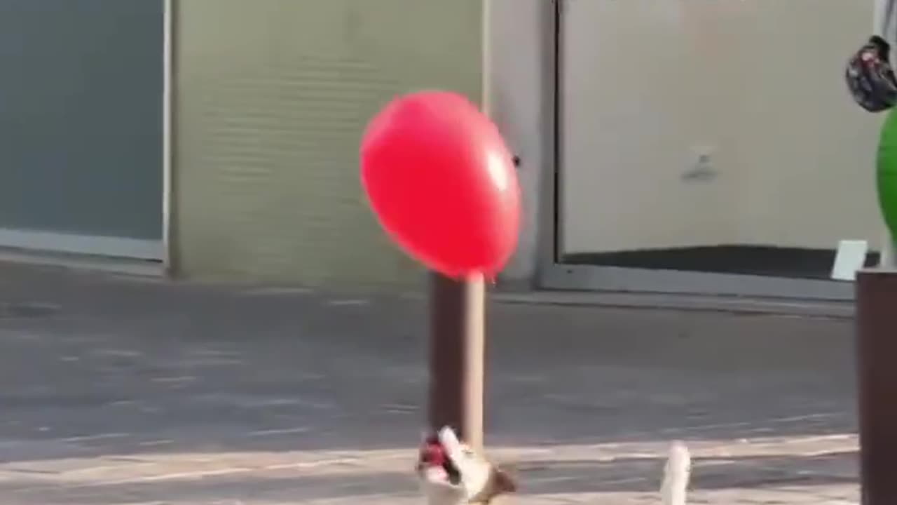 📹 Trending Chinese Viral Videos | Funny, Emotional & Shocking Moments