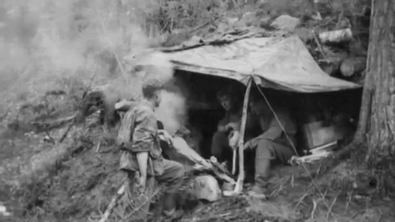 6th SS Mountain Division Nord