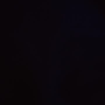 SALTFEST! Nine beers in!