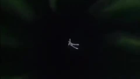 Sailor Moon (EDITED) - Serena's nightmare