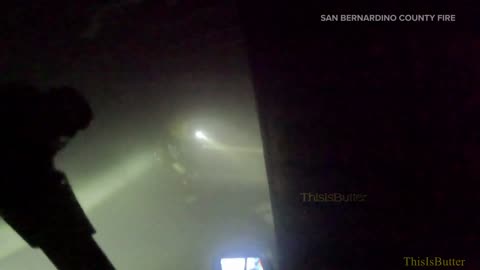 Firefighters rescue 9 dogs from burning home in San Bernardino