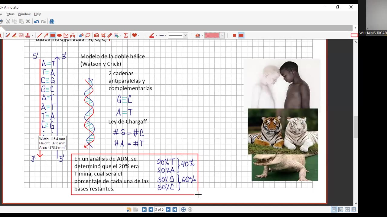 VONEX SEMESTRAL 2024 | Semana 03 | Biología
