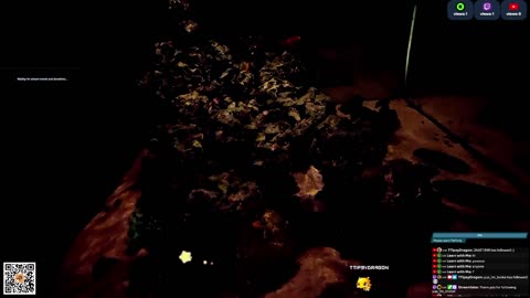24/7 Real Live Reef Stream
