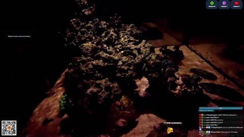 24/7 Real Live Reef Stream